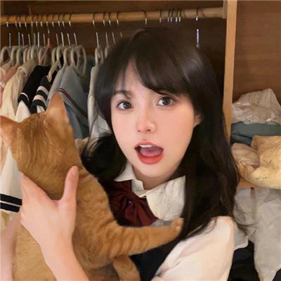 地域骑兵